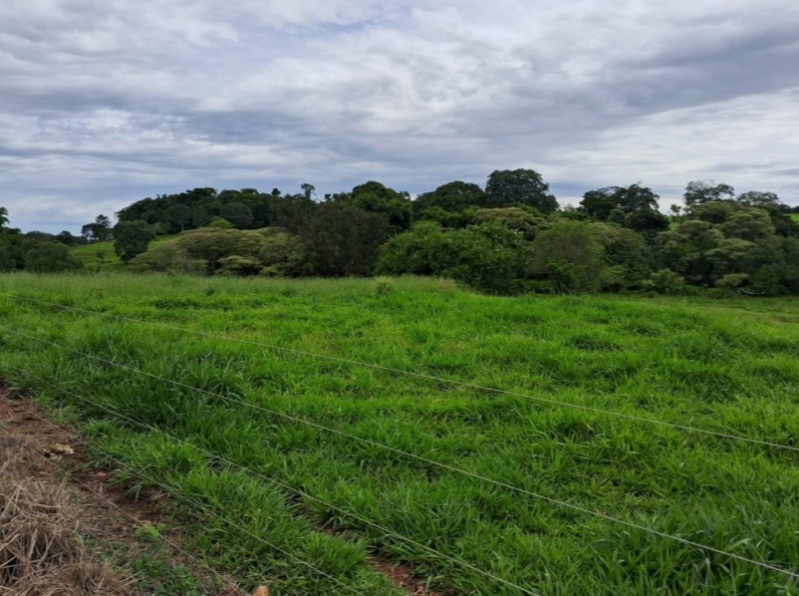 2ª VARA CÍVEL DA COMARCA DE JATAÍ/GO - Lote 002-2 (ID 17990)