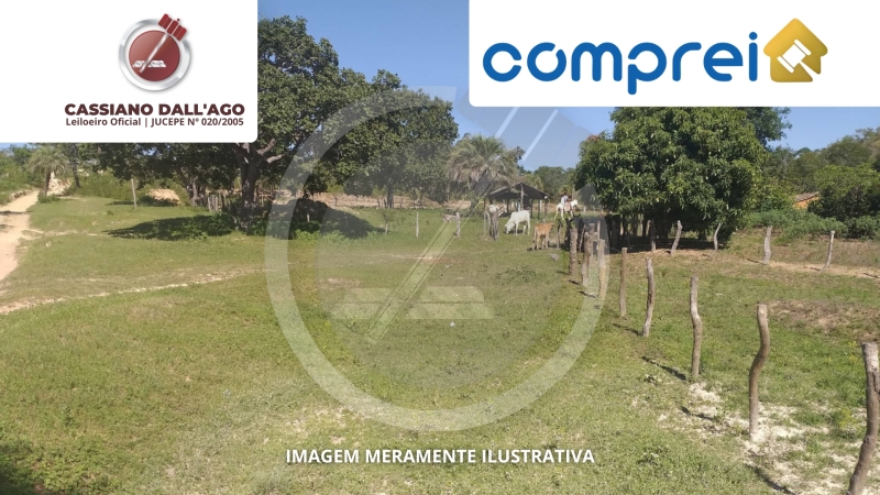 MINAS GERAIS - Lote 033 (ID 569)