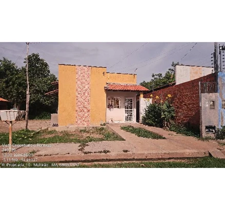 Timon - cinturao verde
