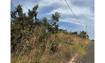 Lote em Leilão em Porto Nacional / TO - 3056175