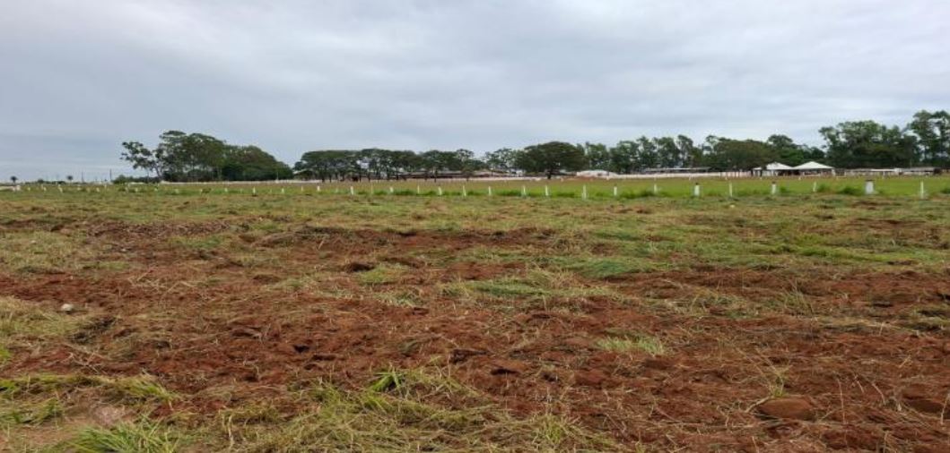 Amambai – ms. bairro frac. de chácara. terreno. áreas totais. terr. 1.251,00m²