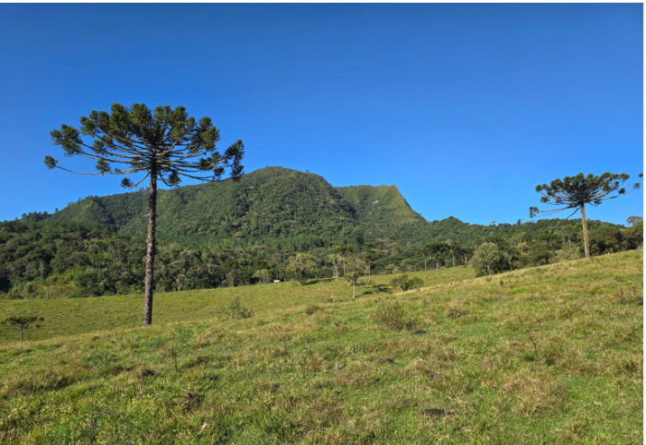 Área 63.000,00m² i fazenda gafanhoto| divinópolis/mg - possibilidade de parcelamento