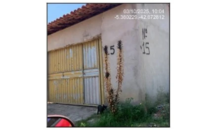 Demerval lobao - cidade nova