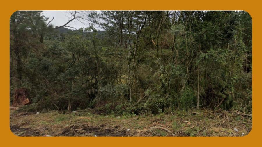 TERRENO RURAL, SEM BENFEITORIAS, DENOMINADO PARCELA 08, SITUADO NA FAZENDA RIO PALETA, POUSO REDONDO/SC.  25,0301 HECTARES __