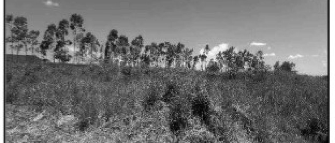 LT 2 PARQUE FIRENZE