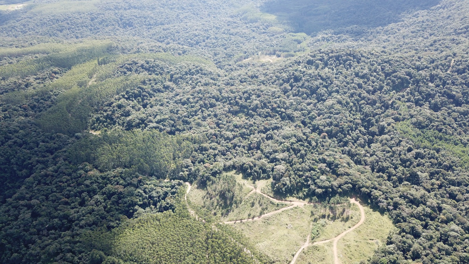 FAZENDA COM 607,58 HECTARES ( REFLORESTAMENTO EUCALIPTO) em BENDEDITO NOVO -SC