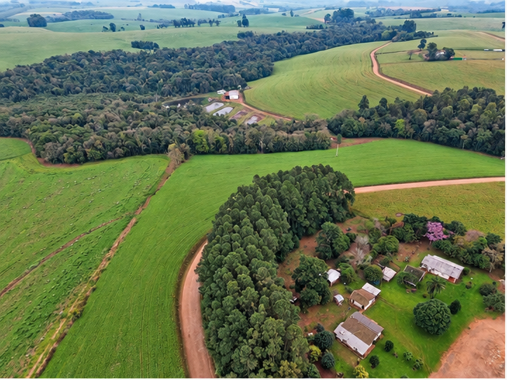 120,10 HECTARES — FAZENDA SARANDI - TERRAS RURAIS COM BENFEITORIAS E TERRENO URBANO — SARANDI/RS - Marcelo Trevisan - Leiloeiro Oficial