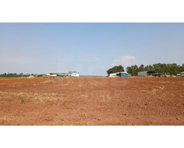 Cerejeiras/ro - terreno urbano com 6.250,00 m² no setor industrial 07 lote em leilão | mgl leilões