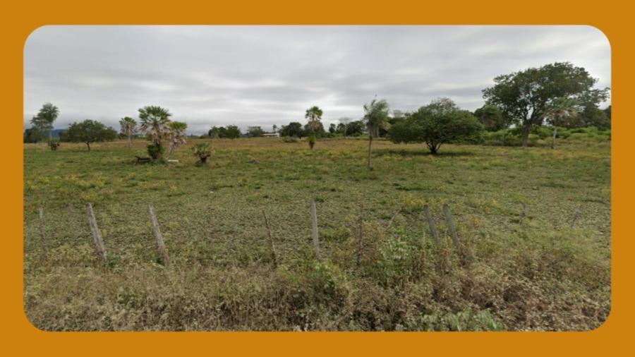 Area Rural em leilão em Januária - MG