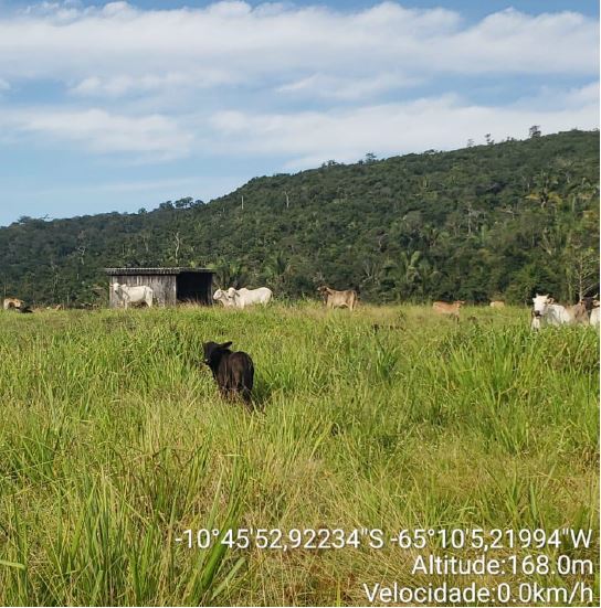 Terreno em Guajará-Mirim/RO