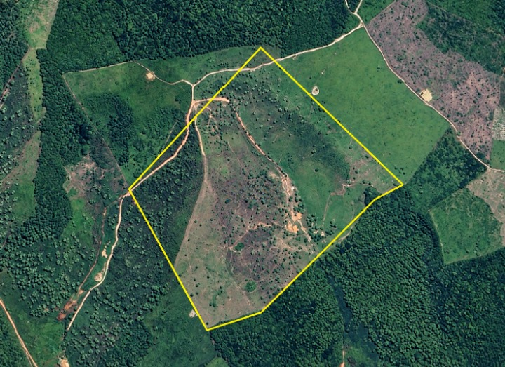 Lote 11: fazenda com 42,0489ha - zona rural marajá do sena ma