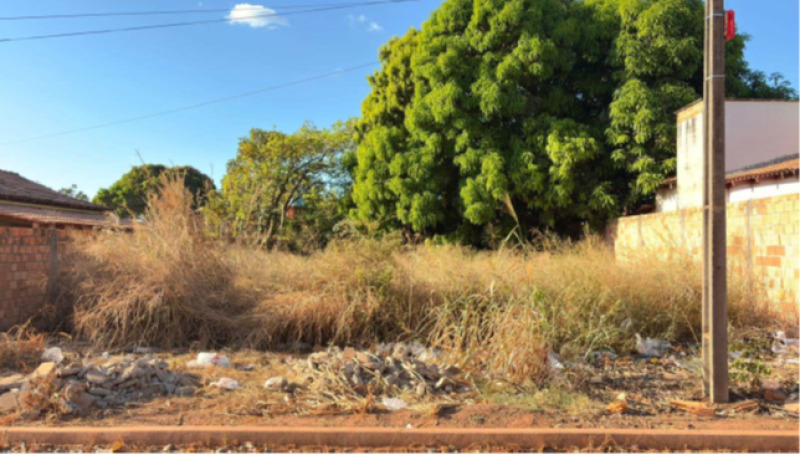 Leilão da 2ª Escrivania Cível de Formoso do Araguaia - TO - Lote 001 (ID 4287)