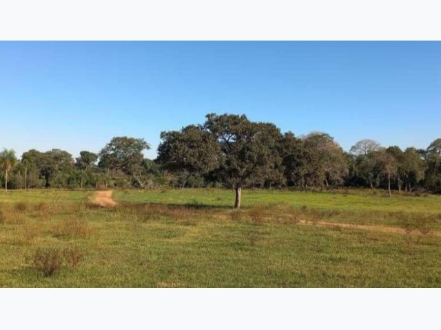 Terreno a.t. 2.500 m² - vila rosa, dourados/ms