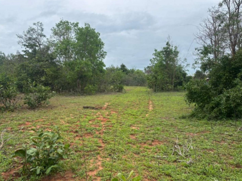 Imóvel em leilão em Bom Jardim de Goiás/GO