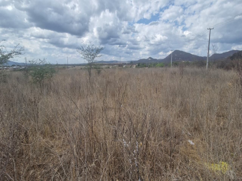 LOTES RESIDENCIAIS nos Estados de Minas Gerais e Pernambuco - Lote 010 (ID 1654)
