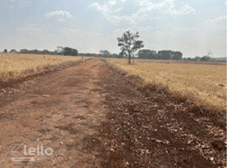 GUAPO/GO - TERRENO COM 650,015 M