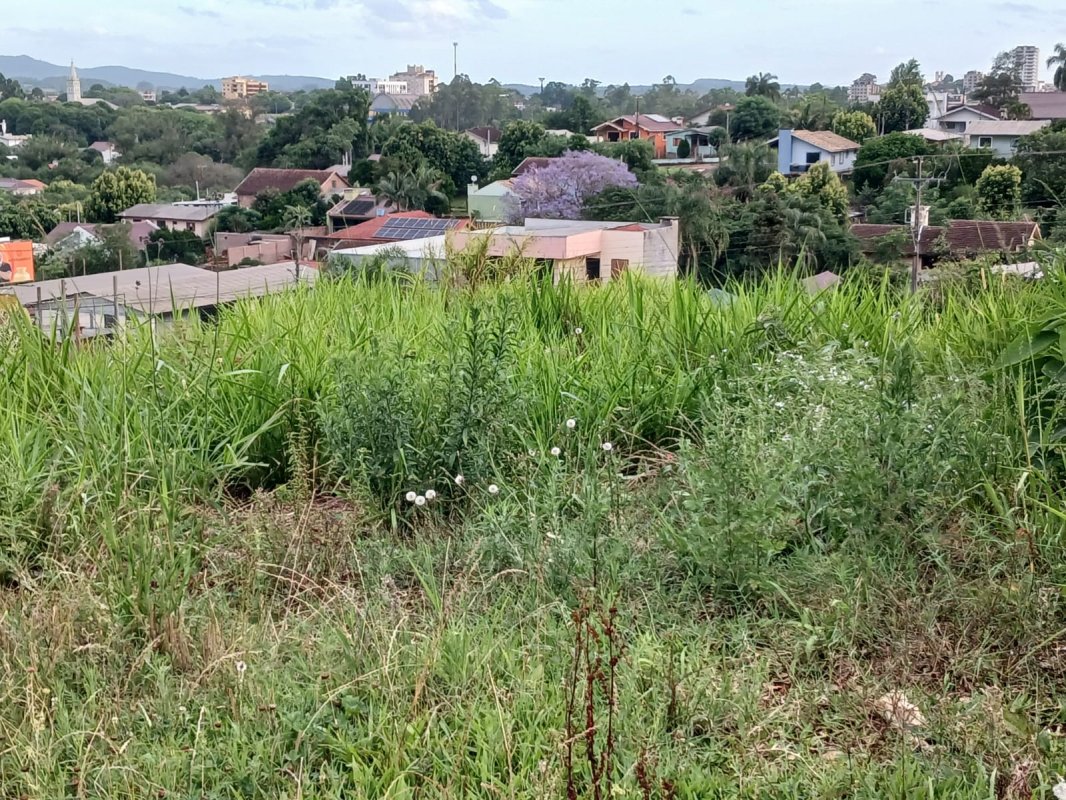 Área de 360,00m², sem edificações, localizado na rua alexandre hauenstein, loteamento sylvio hauenstein, bairro centro administrativo, teutônia/rs