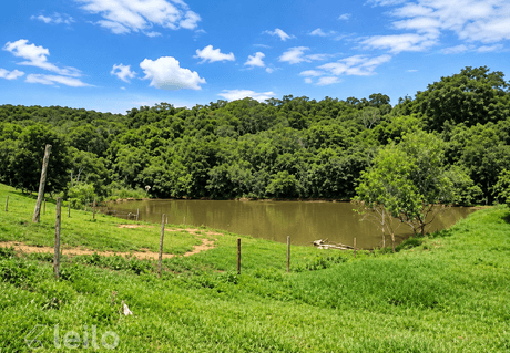 Bonfinópolis/GO - Fazenda com 5,98 alqueires