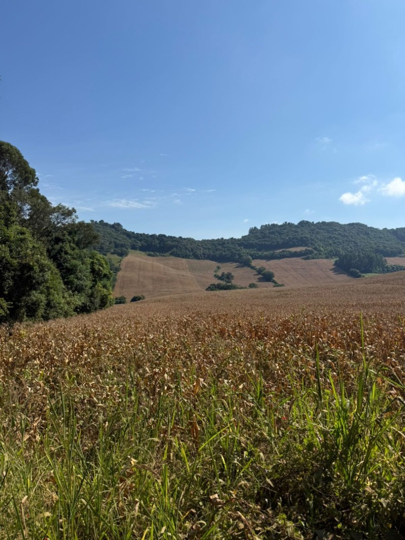 Leilão Empresarial - Lote 001 (ID 14665)