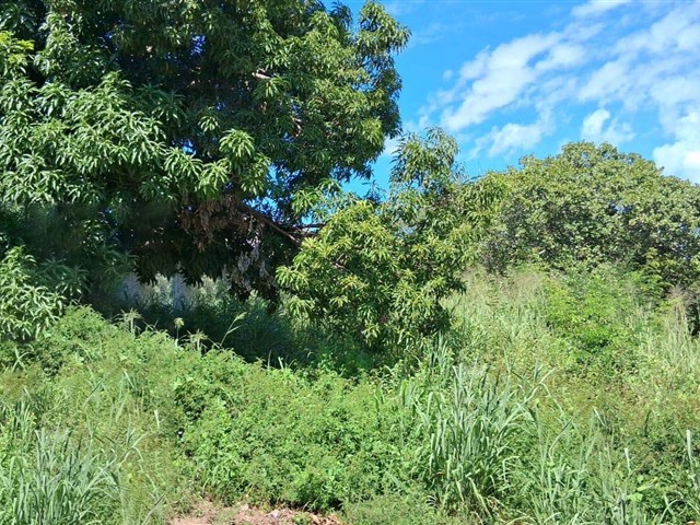 Terreno - minaçu | goiás