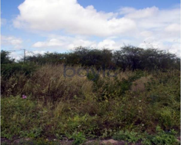 Mossoró - rn - terreno - 200,00 m²