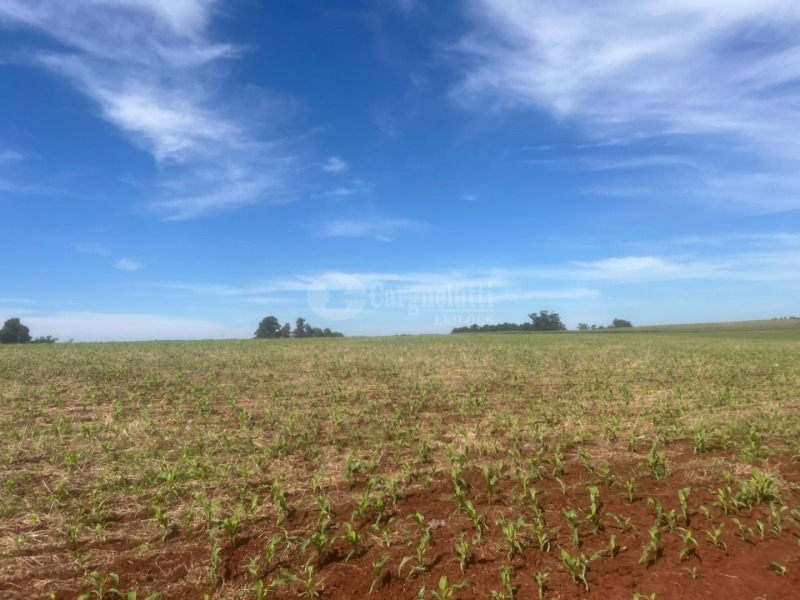 Cargnelutti Leilões | LEILÃO JUDICIAL - TUPANCIRETÃ/RS - Lote 001-2 (ID 43961)