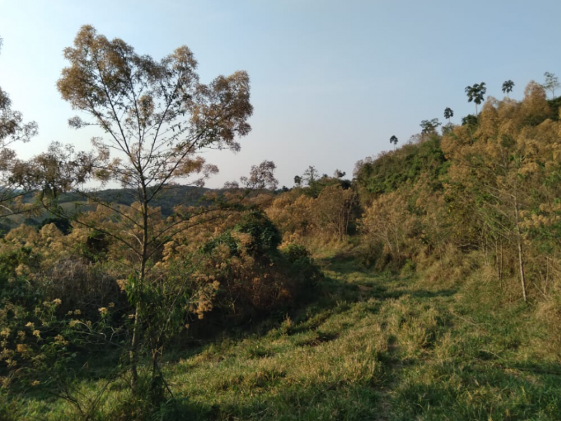 Chácara/Sítio, Rural, Zona Rural - Carmo de Minas/MG