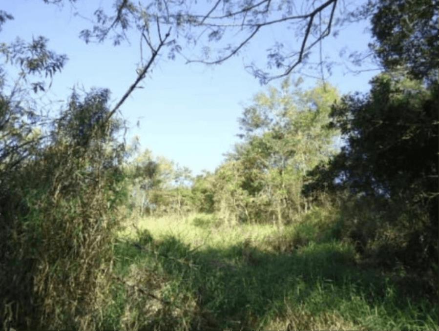 SUZANO - TERRENO 1.744M²