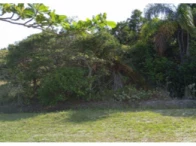 Terreno c/ 250m² - Ilha Comprida/SP