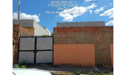 Lot cha de alegria iii