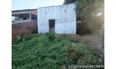 Teresina - colorado