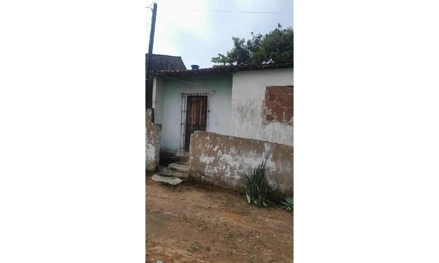 Cha de alegria - lot cha de alegria