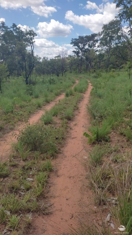 Leilão da 3ª Vara da Comarca de Araguaina - TO - Lote 001 (ID 4088)