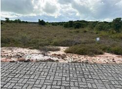 Lote/Terreno
