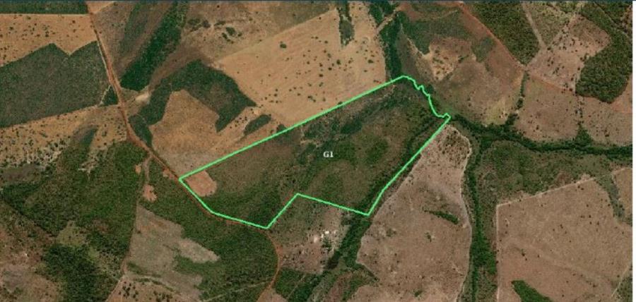 IMÓVEL RURAL | A.T. 76,4510HA, FAZENDA GIRASSOL | RIBEIRÃO CASCALHEIRA/MT