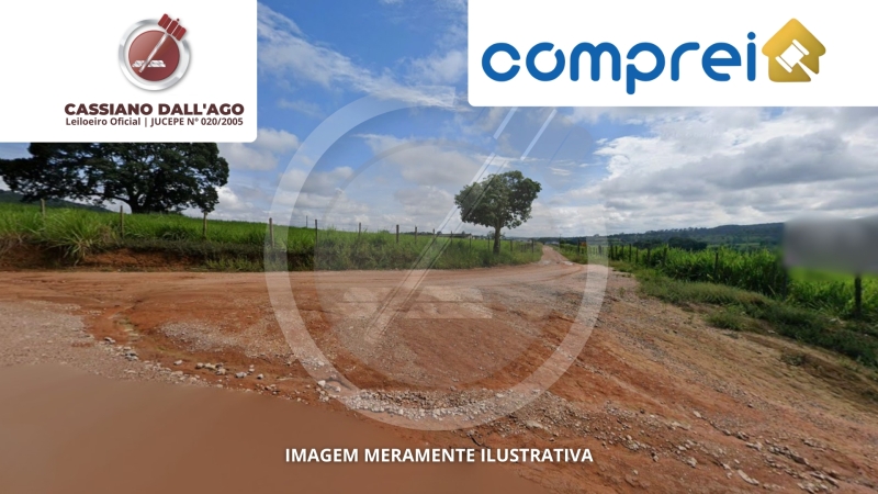MINAS GERAIS - Lote 031 (ID 566)