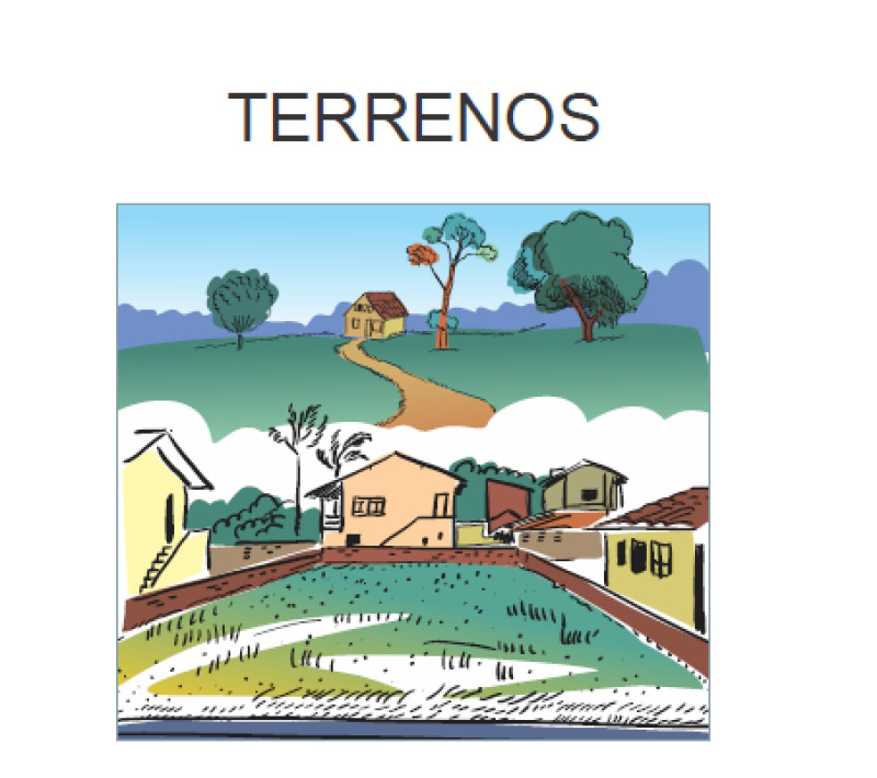 ÁEREA RURAL EM ALTA FLORESTA D'OESTE RO - Lote 001 (ID 6195)