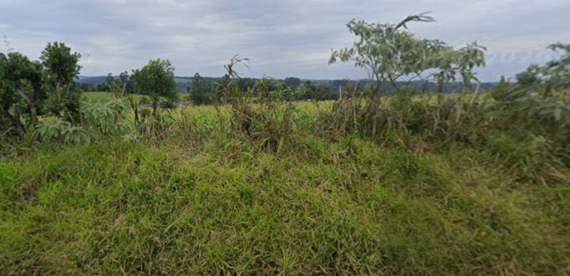 FAZENDAS EM LEILÃO - Lote 149 (ID 4301)