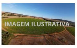 Lote 1