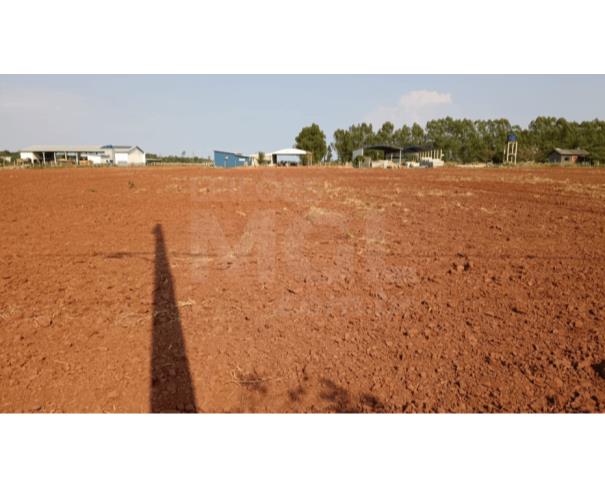 Cerejeiras/ro - terreno urbano com 6.250,00 m² no setor industrial 07 lote em leilão | mgl leilões