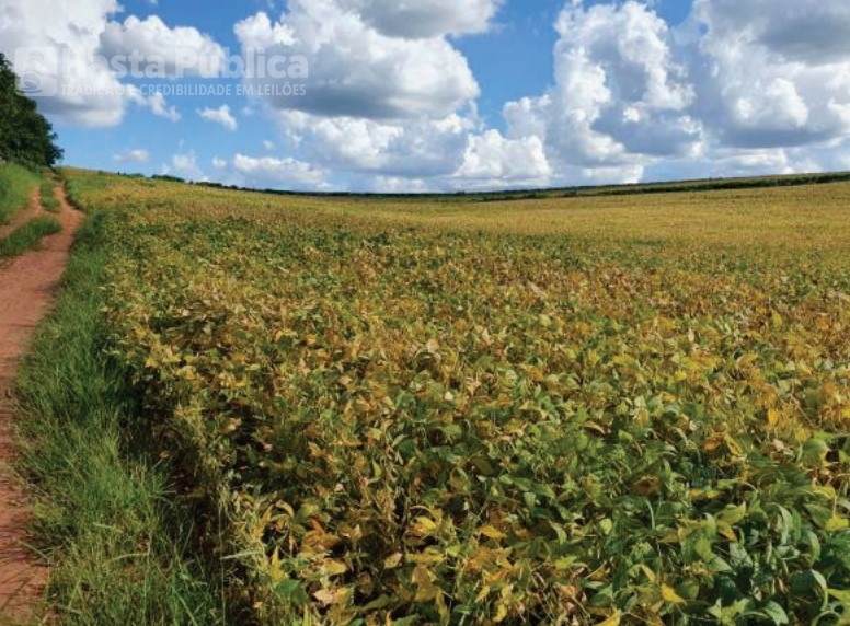 1.0 - área de terras, área total 19,7386 hectares - babilônia - são carlos/sp