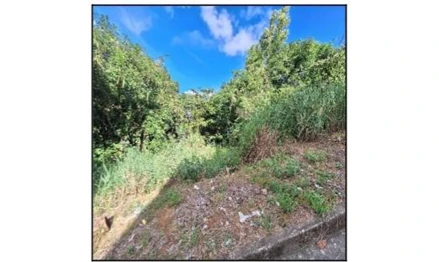 Serra - belvedere