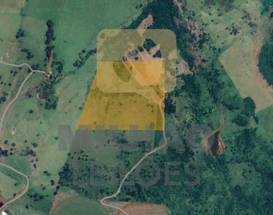 Fazenda Onça com 23,96 ha