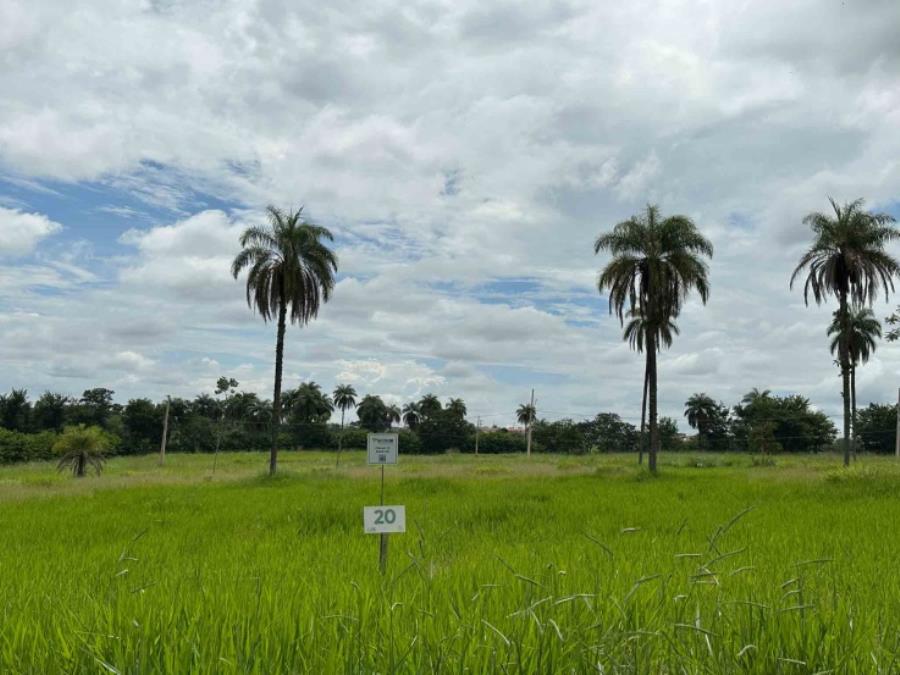 Sicoob - chácara 20, quadra 06, localizada na rua g, no chacreamento espelho d’água, em abaeté/mg, com área total de 1.000,00 m², matrícula nº 29.124 do cri de abaeté/mg.
