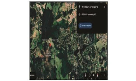Esmeraldas - vale das esmeraldas 2 (melo viana)