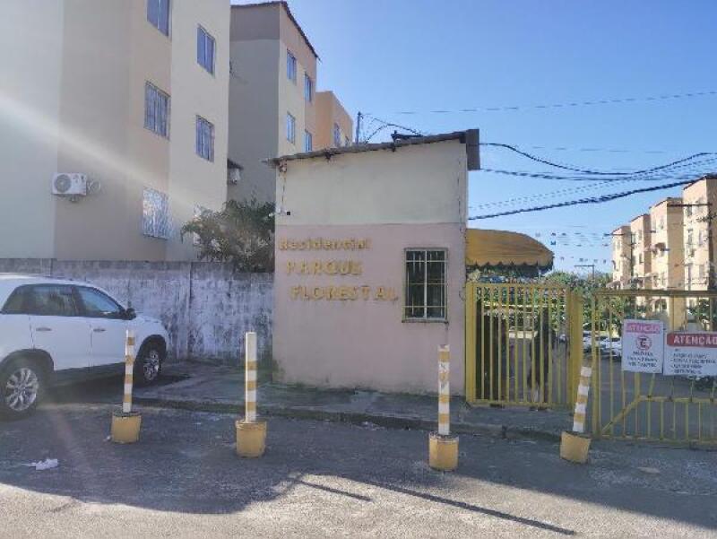 Lote 010
