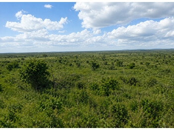 Area Rural em leilão em Gaúcha Do Norte - MT