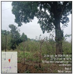 Parte norte da fazenda arapucaia guassu