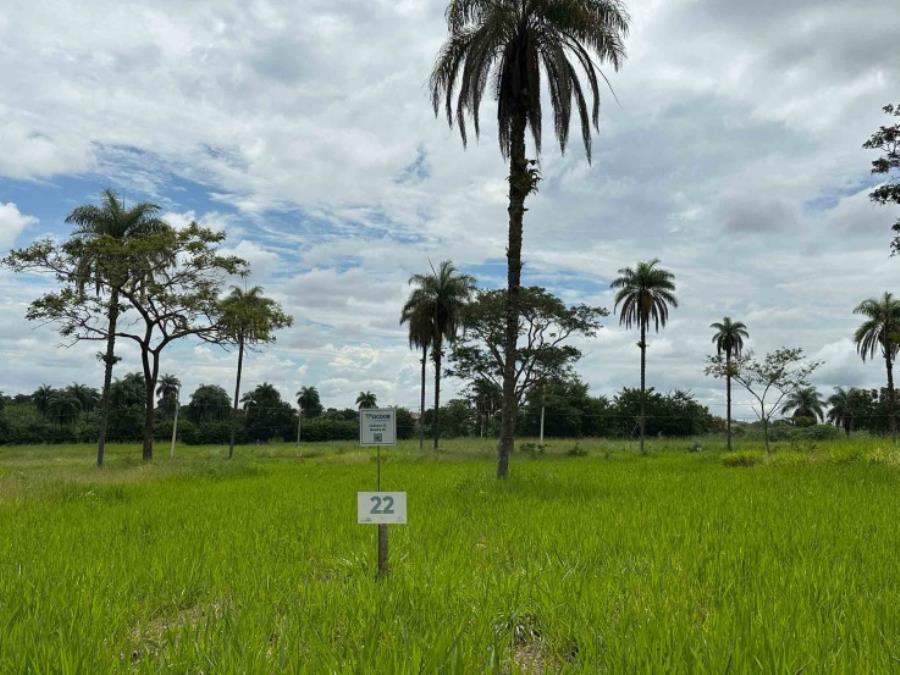 Chácara 22, Quadra 06, localizada na Rua G, no Chacreamento Espelho D’Água, em Abaeté/MG, com área total de 1.000,00 m², matrícula nº 29.126 do CRI de Abaeté/MG.