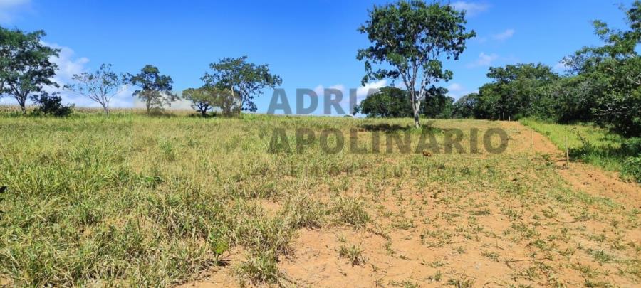 Leilão judicial - fazenda de 485 hectares - fazenda são braz e almas de 485 ha